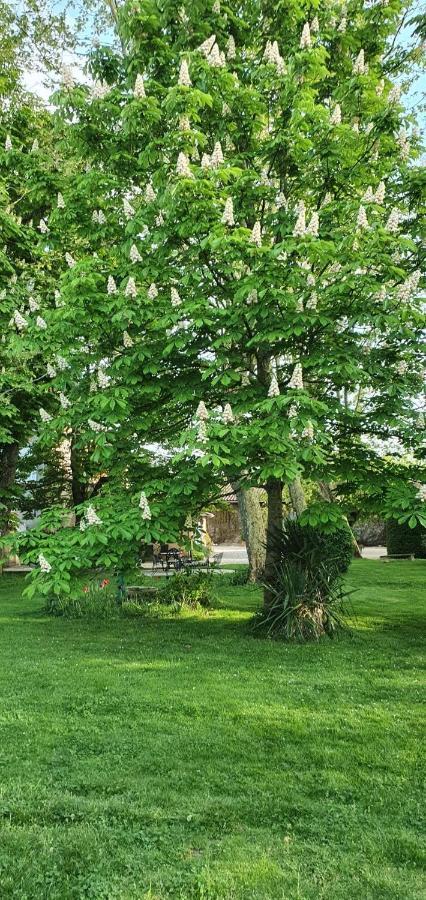 B&B Le Domaine Des Marcoujans Saint-Elix-le-Chateau Zewnętrze zdjęcie